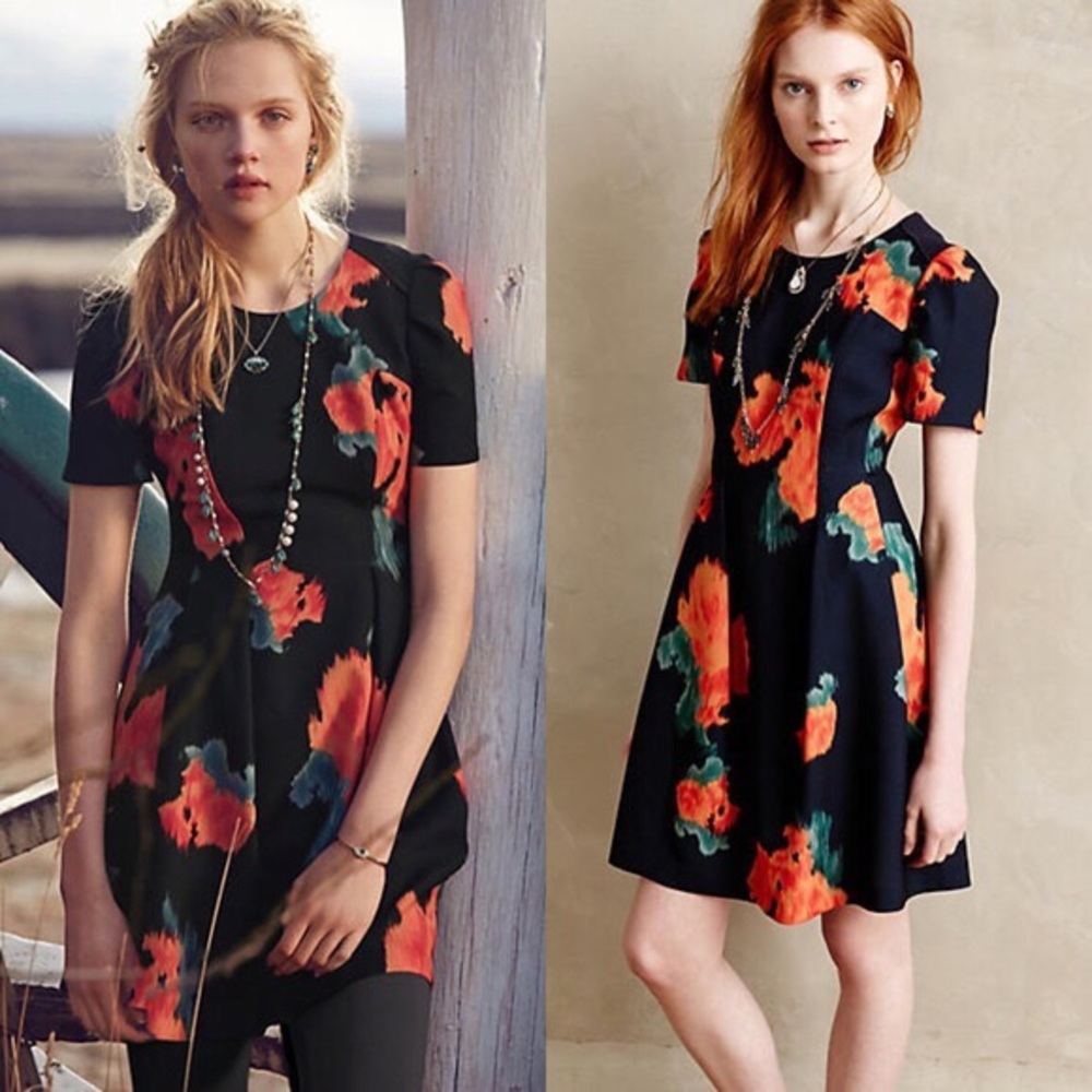 Anthropologie Mcginn Poppy Palette Dress - size 6
